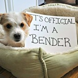 Entry image for Bean (formerly Butter Beans)
