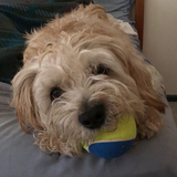 Entry image for Tyson