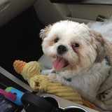 Entry image for Oliver