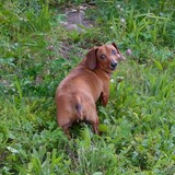 Entry image for Otis