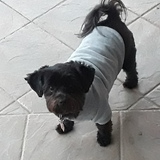 Entry image for Chloe