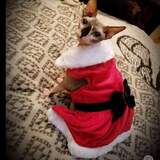 Entry image for Tabitha