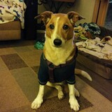 Entry image for Kylee
