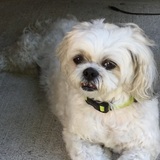 Entry image for Lucy