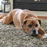 Entry image for Finnegan