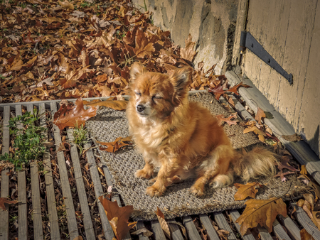 Entry image for Zane. Clicking this image will show a larger photo