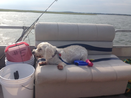 Entry image for Sofie. Clicking this image will show a larger photo