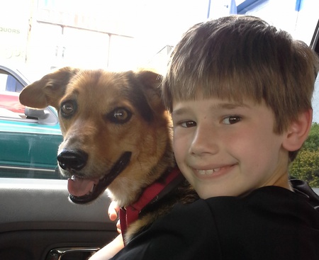 Entry image for Tipper (formerly Rosy). Clicking this image will show a larger photo