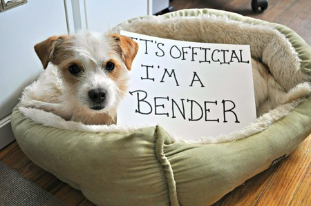 Entry image for Bean (formerly Butter Beans). Clicking this image will show a larger photo