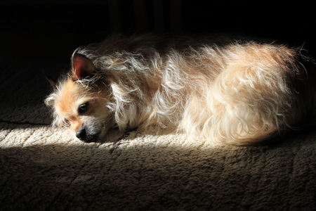 Entry image for Tisha. Clicking this image will show a larger photo