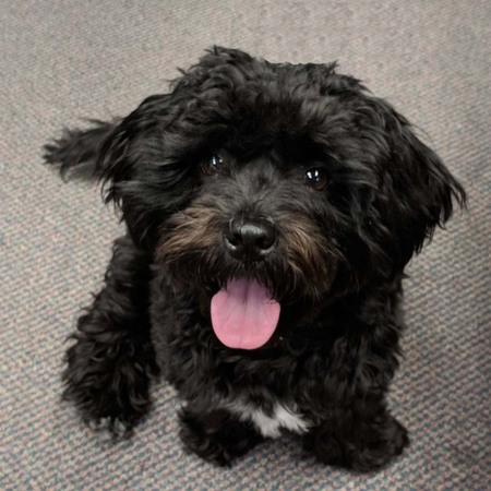 Entry image for Duncan. Clicking this image will show a larger photo
