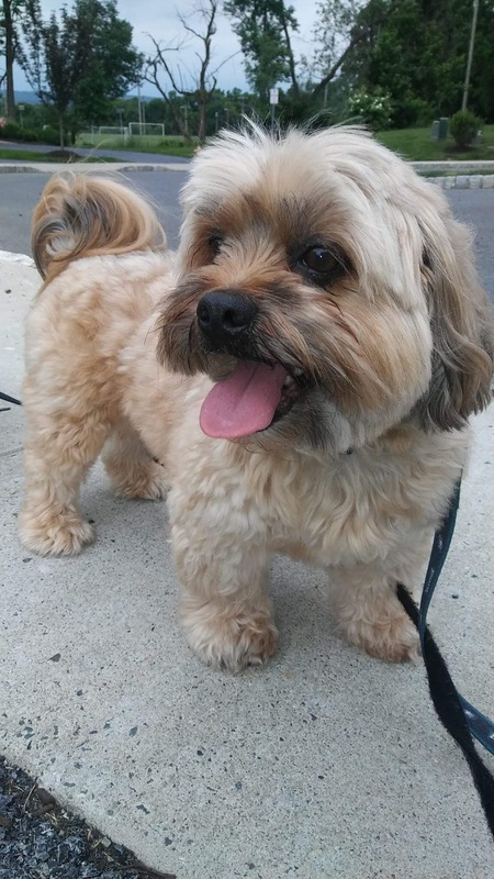Entry image for Renly. Clicking this image will show a larger photo