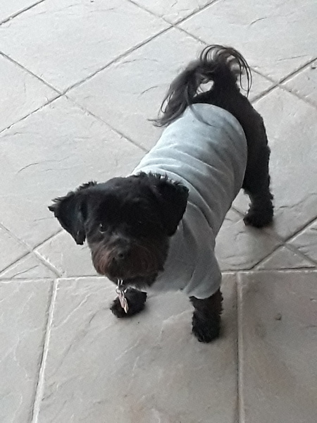 Entry image for Chloe. Clicking this image will show a larger photo