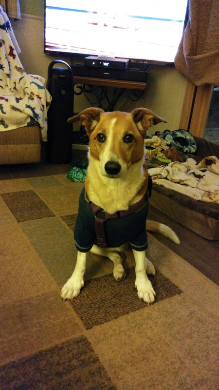 Entry image for Kylee. Clicking this image will show a larger photo