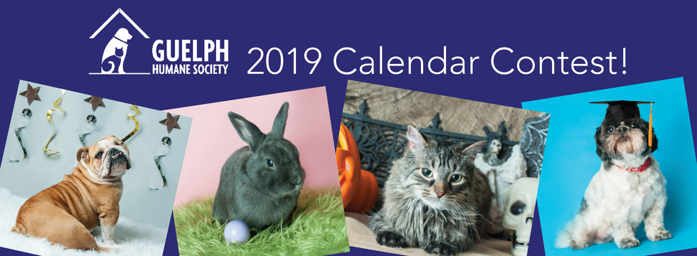 Banner for Guelph Humane Society 2019 Calendar Photo Contest