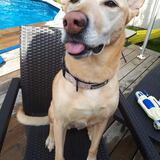 Entry image for Luna