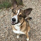 Entry image for Eddie (aka Eduardo)