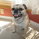 Entry image for Sara