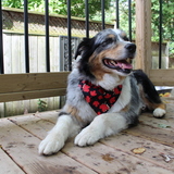 Entry image for Kirby