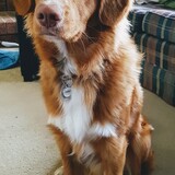 Entry image for Otis