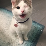 Entry image for Freida Wink