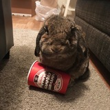 Entry image for Leroy