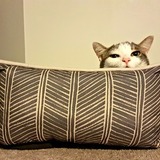 Entry image for Carmen