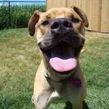 Entry image for Aria