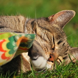 Entry image for Suzy