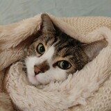 Entry image for Benny