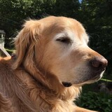 Entry image for Finley