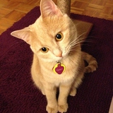 Entry image for Timbit