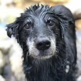 Entry image for Cali