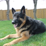 Entry image for Rucker 