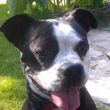 Entry image for Ruger