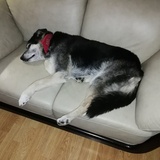 Entry image for Edward