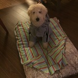 Entry image for Sullivan (Sully)Lindley 