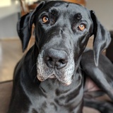 Entry image for Edison