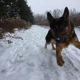 Entry image for Chance