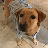 Entry image for Penny