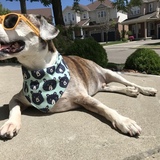 Entry image for Maxerin