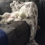 Entry image for Chloe