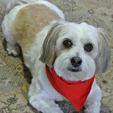 Entry image for Hudson