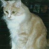 Entry image for Buffy