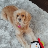 Entry image for Molly