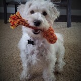 Entry image for Chili