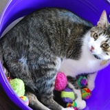 Entry image for Jeffrey