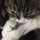 Entry image for Bette