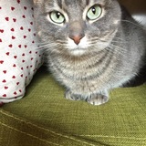 Entry image for Sunny