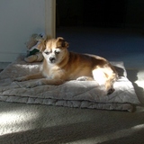 Entry image for Dee Dee Starr